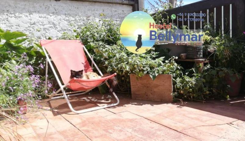 Hostal Bellymar Pichilemu Exteriér fotografie